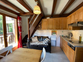Charmant appartement près des pistes, avec mezzanine et balcon, parking et WIFI à Châtel - FR-1-693-70